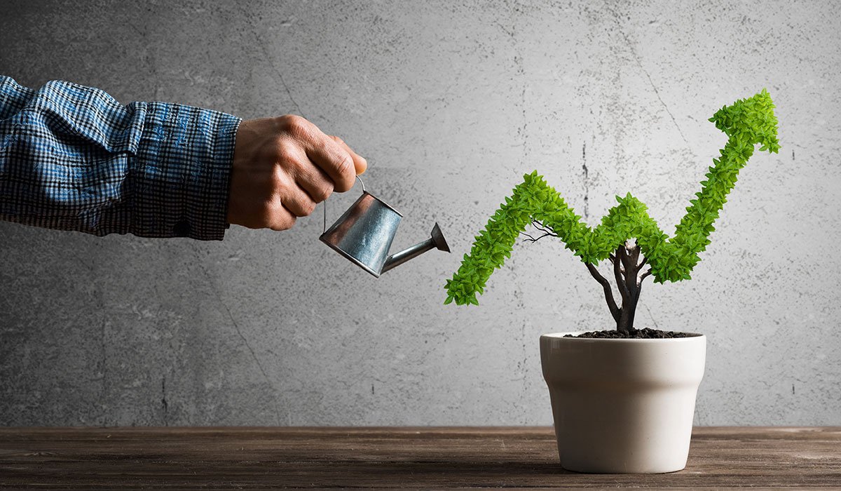 Nurturing financial growth
